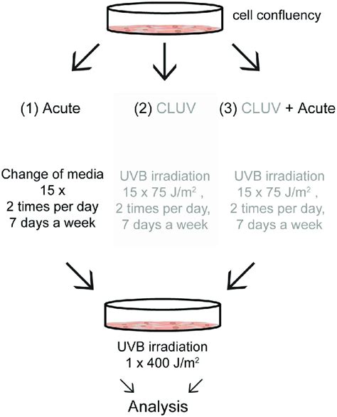 Extending a <strong>protocol UVC</strong> to add. . Uvc protocol